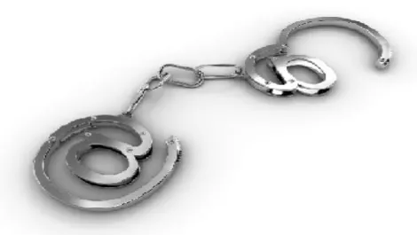Cybercrimes
