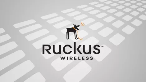 Ruckus boosts wireless offering with new COO