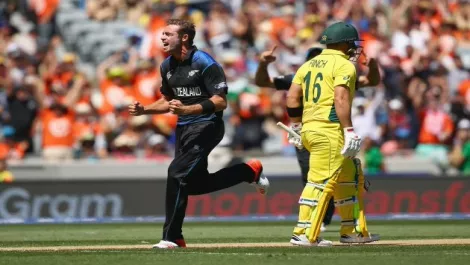 Cricket